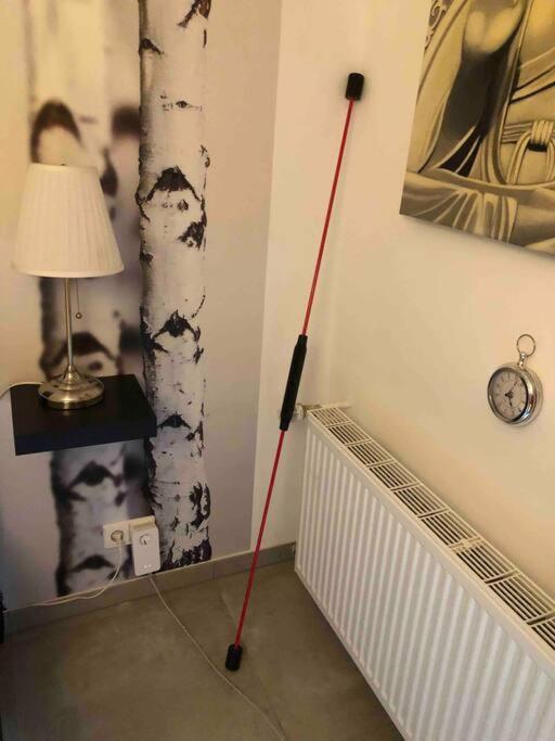 Willkommen Im Casa Felice, Der Wohlfuehl Oase Mit Balkon, 4 Betten Und Homeoffice Platz Aidlingen المظهر الخارجي الصورة
