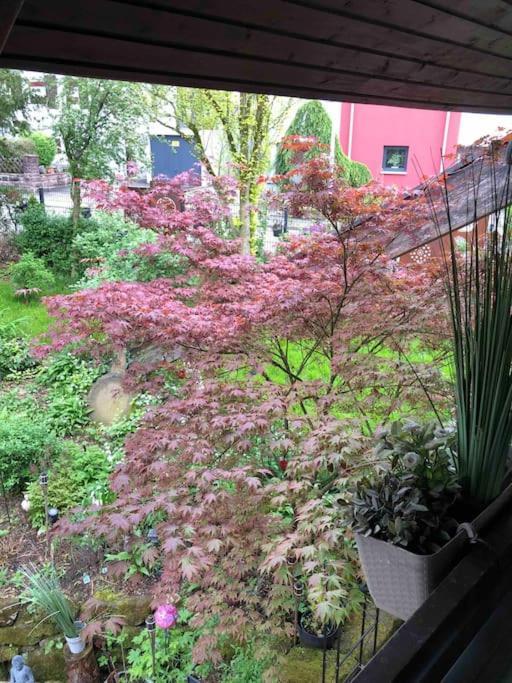 Willkommen Im Casa Felice, Der Wohlfuehl Oase Mit Balkon, 4 Betten Und Homeoffice Platz Aidlingen المظهر الخارجي الصورة
